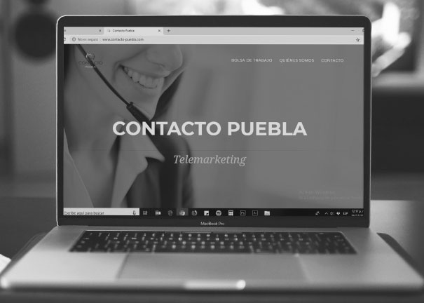 <h2>Contacto Puebla</h2><p><font size='4'>Página Web</font></p>